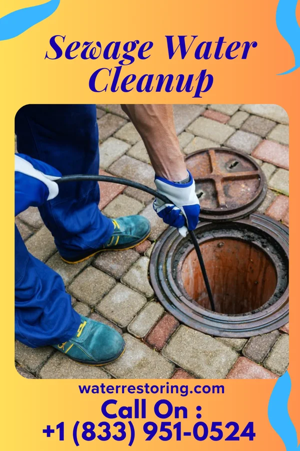 Sewage Water Cleanup in Freeman, MO